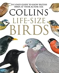 Collins life size for sale  Delivered anywhere in UK