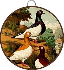 Magpie pigeons litografia usato  Spedito ovunque in Italia 