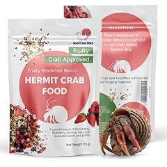 Natural hermit crab for sale  Delivered anywhere in USA 