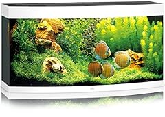 Juwel aquarium vision usato  Spedito ovunque in Italia 
