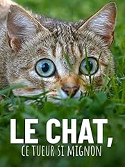 Chat tueur mignon d'occasion  Livré partout en France