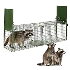 Door live animal for sale  Delivered anywhere in USA 
