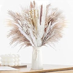 Natural dried pampas for sale  Delivered anywhere in UK