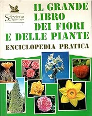 Buon sapore dell usato  Spedito ovunque in Italia 