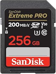 Sandisk extreme pro usato  Spedito ovunque in Italia 