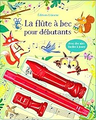 Flûte bec débutants d'occasion  Livré partout en France