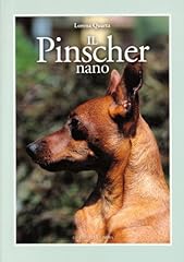 Pinscher nano usato  Spedito ovunque in Italia 