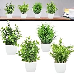 Caredgo 4pcs plantes d'occasion  Livré partout en France
