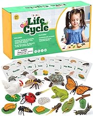 Life cycle kit for sale  Delivered anywhere in USA 