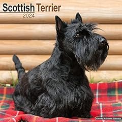 Scottish terrier scottish gebraucht kaufen  Wird an jeden Ort in Deutschland