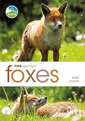 Rspb spotlight foxes for sale  Delivered anywhere in UK