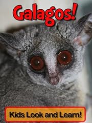 Galagos learn galagos for sale  Delivered anywhere in USA 