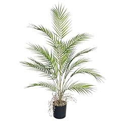 Zelihrdu 3ft large for sale  Delivered anywhere in USA 