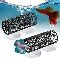 Pieces betta fish for sale  Delivered anywhere in UK