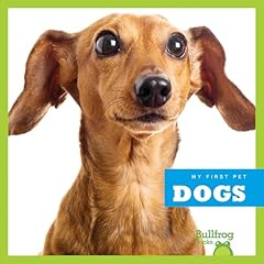 Dogs for sale  Delivered anywhere in USA 
