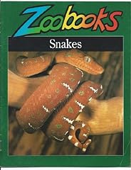 Snakes for sale  Delivered anywhere in USA 
