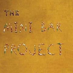 Mini bar project for sale  Delivered anywhere in USA 