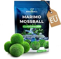 Marimo boules mousse d'occasion  Livré partout en Belgiqu
