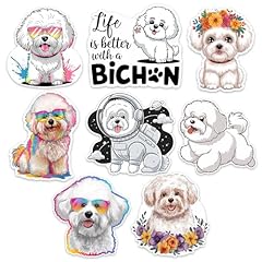 Bichon frise dog for sale  Delivered anywhere in USA 