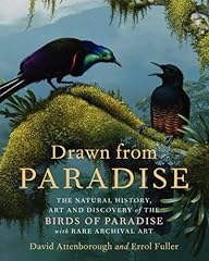 Drawn paradise natural for sale  Delivered anywhere in USA 