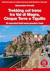 Trekking col treno usato  Spedito ovunque in Italia 