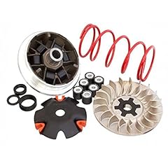 5113161 variatore malossi usato  Spedito ovunque in Italia 