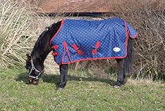 Rhinegold dottie foal for sale  Delivered anywhere in UK