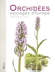 Orchidées sauvages d'occasion  Livré partout en Belgiqu