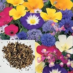 Dwarf wild flower for sale  Delivered anywhere in UK