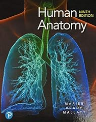 Human anatomy for sale  Delivered anywhere in USA 