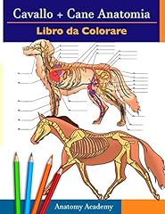 Cavallo cane anatomia usato  Spedito ovunque in Italia 