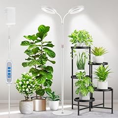 Aumtrly large plant for sale  Delivered anywhere in USA 