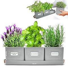 Green thumbz herb for sale  Delivered anywhere in UK