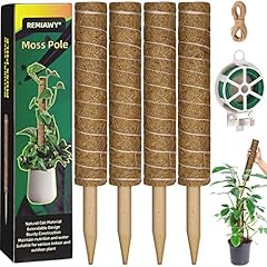 Moss pole inch for sale  Delivered anywhere in UK