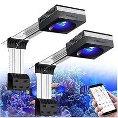 Popbloom rl90 wifi gebraucht kaufen  Wird an jeden Ort in Deutschland