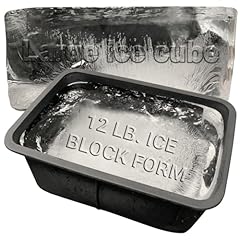 Ice block form for sale  Delivered anywhere in USA 