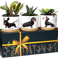 Dachshund planters dachshund for sale  Delivered anywhere in USA 