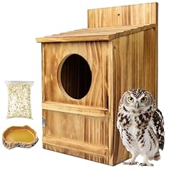 Handmade wooden owl for sale  Delivered anywhere in USA 