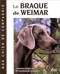 Braque weimar jo d'occasion  Livré partout en France