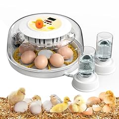 Mqupin egg incubators for sale  Delivered anywhere in USA 