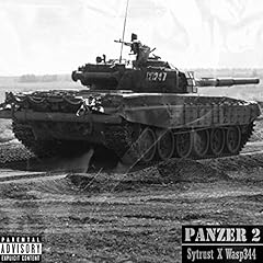 Panzer usato  Spedito ovunque in Italia 
