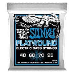 Ernie ball extra usato  Spedito ovunque in Italia 