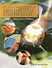 Fundamentals ornamental fish for sale  Delivered anywhere in UK