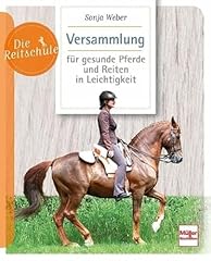 Versammlung gesunde pferde gebraucht kaufen  Wird an jeden Ort in Deutschland