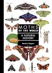 Moths the natural gebraucht kaufen  Wird an jeden Ort in Deutschland