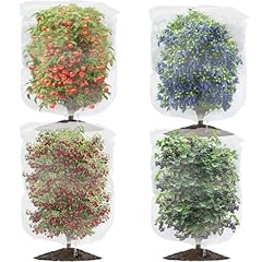 Evoio fruit tree for sale  Delivered anywhere in UK
