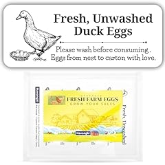 120 duck egg for sale  Delivered anywhere in USA 