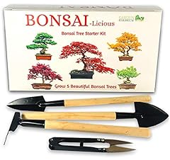 Bonsai tree kit for sale  Delivered anywhere in Ireland