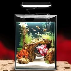 Ipriro glass betta for sale  Delivered anywhere in USA 