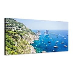 Panorama capri con usato  Spedito ovunque in Italia 